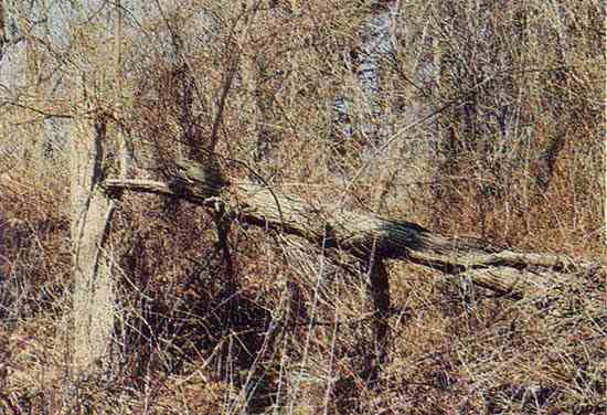 
Landmarks such as this one are the street signs of the wilderness.
